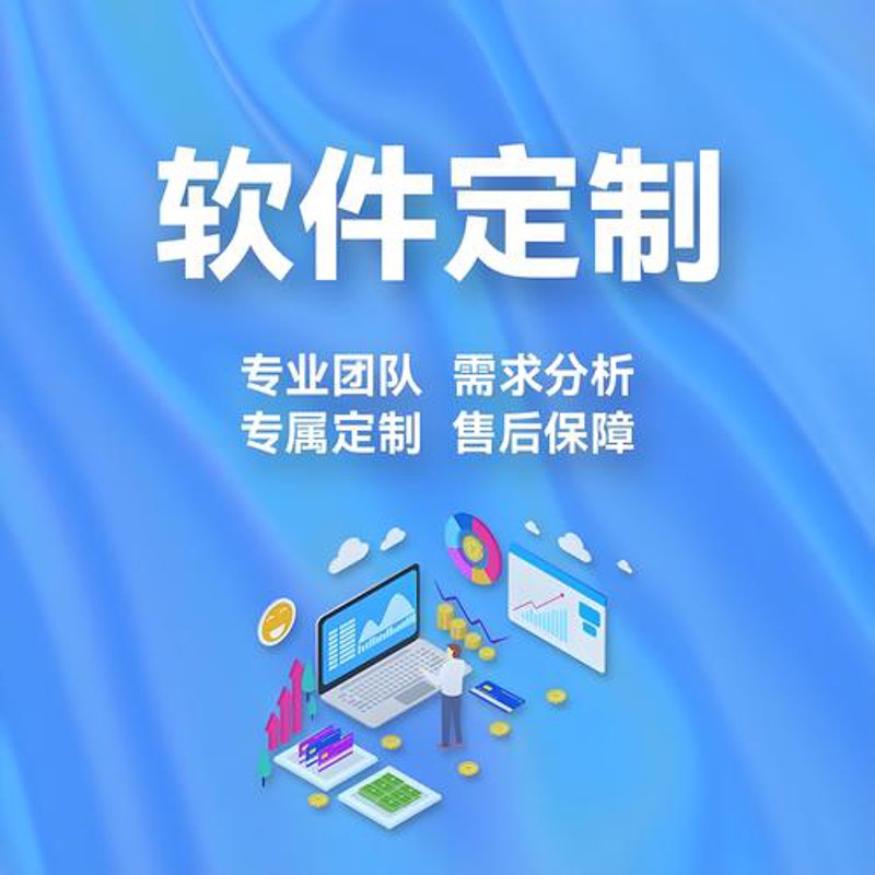 软件定制开发:打造企业专属利器
